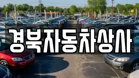 대구광역시 수성구 이천동 중고차,렌트카,중고차매입,중고차매매,장기렌트카,단기렌트카