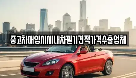 대구광역시 수성구 이천동 중고차매입 전문 중고차매입시세내차팔기견적가격수출업체