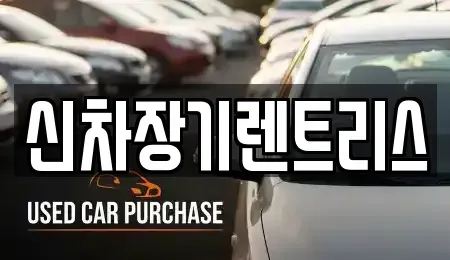 대구광역시 중구 계산동1가 장기렌트카 전문 신차장기렌트리스