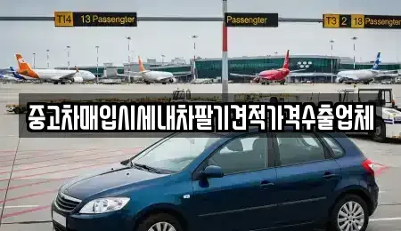 대구광역시 중구 계산동1가 중고차매매 전문 중고차매입시세내차팔기견적가격수출업체