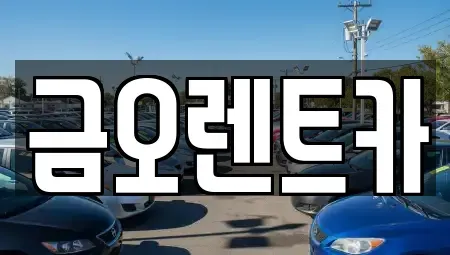 대구광역시 중구 북내동 렌트카,단기렌트카,장기렌트카,중고차,중고차매매,중고차매입