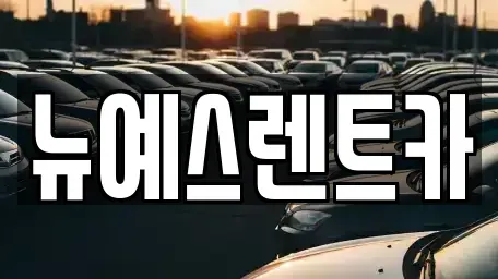 대구광역시 중구 북내동 렌트카 전문 뉴예스렌트카