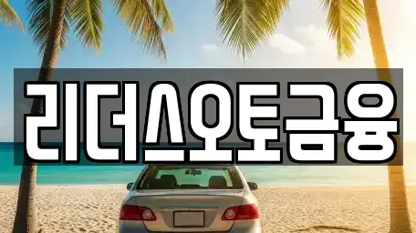 대구광역시 중구 북내동 렌트카 전문 리더스오토금융