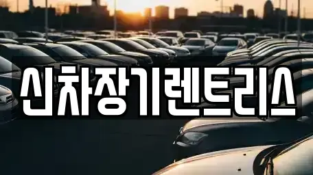 대구광역시 중구 북내동 렌트카 전문 신차장기렌트리스