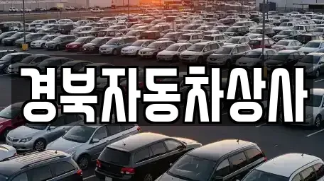대구광역시 중구 북내동 중고차 전문 경북자동차상사