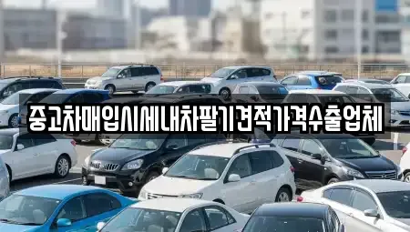 대구광역시 중구 북내동 중고차 전문 중고차매입시세내차팔기견적가격수출업체