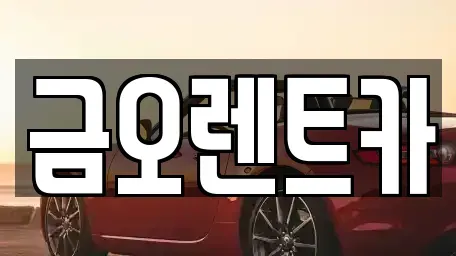 대구광역시 중구 서성로1가 렌트카 전문 금오렌트카