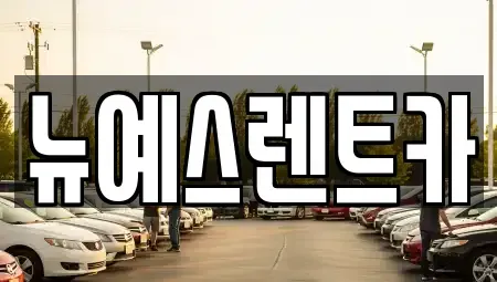 대구광역시 중구 서성로1가 렌트카 전문 뉴예스렌트카