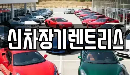대구광역시 중구 서성로1가 렌트카 전문 신차장기렌트리스