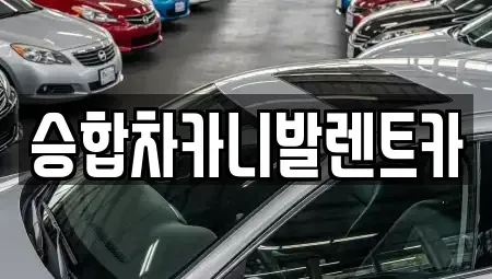 대전 대덕구 읍내동 렌트카 전문 승합차카니발렌트카
