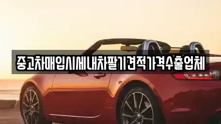 대전 대덕구 읍내동 중고차매입 전문 중고차매입시세내차팔기견적가격수출업체