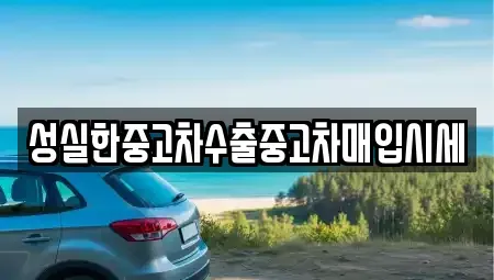 대전 동구 중고차매입 전문 성실한중고차수출중고차매입시세