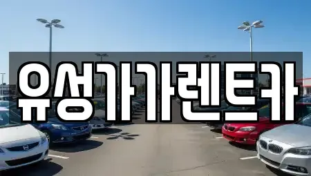 대전 유성구 관평동 렌트카 전문 유성가가렌트카