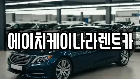대전 유성구 덕진동 렌트카 전문 에이치케이나라렌트카