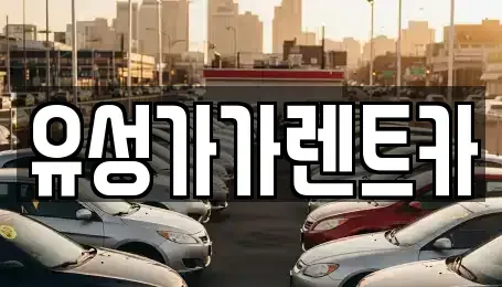 대전 유성구 덕진동 렌트카 전문 유성가가렌트카