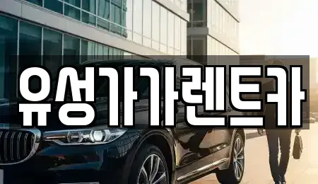 대전 유성구 덕진동 렌트카 전문 유성가가렌트카