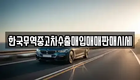 대전 유성구 덕진동 중고차 전문 한국무역중고차수출매입매매판매시세