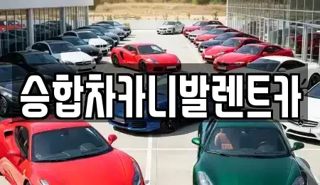 대전 유성구 어은동 렌트카 전문 승합차카니발렌트카