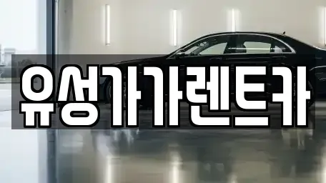 대전 유성구 어은동 렌트카 전문 유성가가렌트카