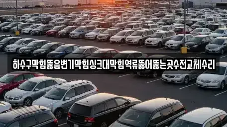 대전 중구 호동 중고차 전문 하수구막힘뚫음변기막힘싱크대막힘역류뚫어뚫는곳수전교체수리