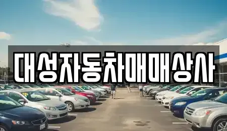 대전광역시 동구 대성동 중고차 전문 대성자동차매매상사