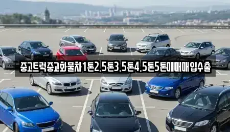 대전광역시 동구 대성동 중고차매입 전문 중고트럭중고화물차1톤2.5톤3.5톤4.5톤5톤매매매입수출