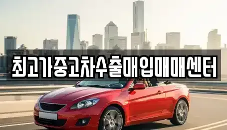 대전광역시 동구 대성동 중고차매입 전문 최고가중고차수출매입매매센터