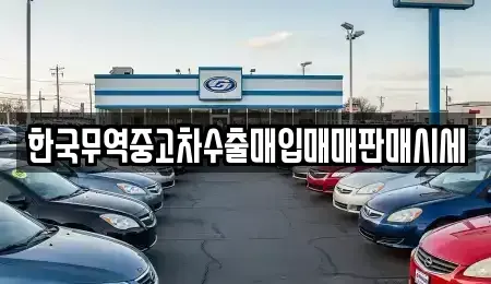 대전광역시 동구 대성동 중고차매입 전문 한국무역중고차수출매입매매판매시세