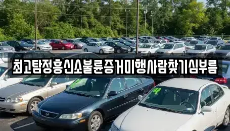 대전광역시 동구 이사동 중고차매입 전문 최고탐정흥신소불륜증거미행사람찾기심부름