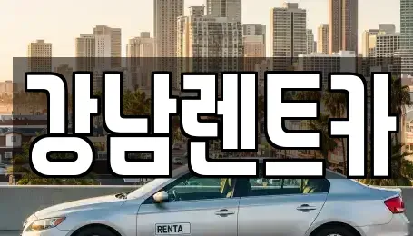 대전광역시 서구 괴곡동 렌트카 전문 강남렌트카