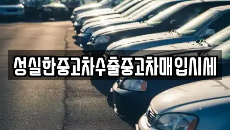대전광역시 서구 괴곡동 중고차매매 전문 성실한중고차수출중고차매입시세