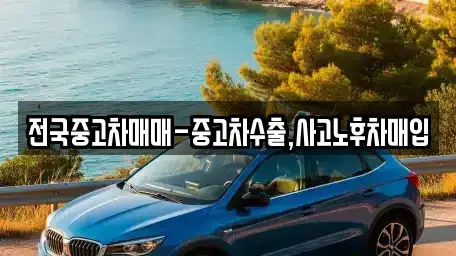 대전광역시 서구 괴곡동 중고차매입 전문 전국중고차매매-중고차수출,사고노후차매입