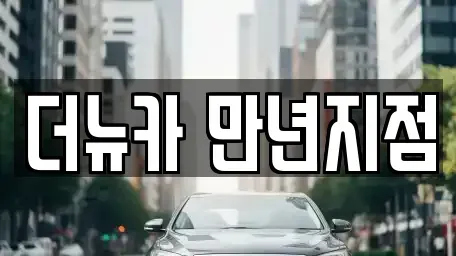 대전광역시 유성구 도룡동 단기렌트카 전문 더뉴카 만년지점