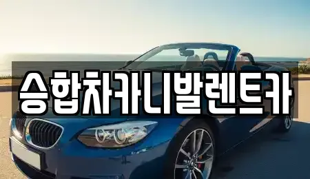 대전광역시 유성구 도룡동 렌트카 전문 승합차카니발렌트카
