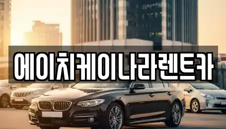 대전광역시 유성구 도룡동 렌트카 전문 에이치케이나라렌트카