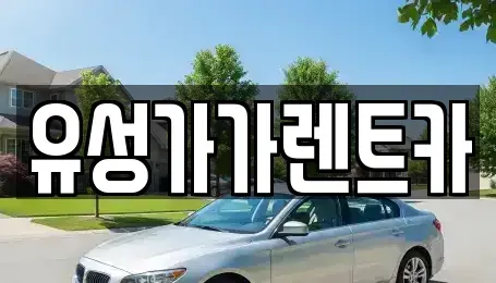 대전광역시 유성구 도룡동 렌트카 전문 유성가가렌트카