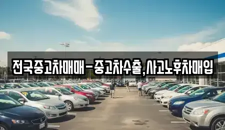 대전광역시 유성구 도룡동 중고차매입 전문 전국중고차매매-중고차수출,사고노후차매입