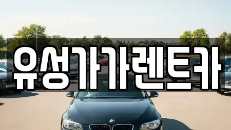 대전광역시 유성구 문지동 렌트카 전문 유성가가렌트카