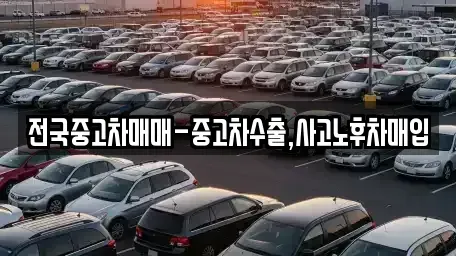 대전광역시 유성구 문지동 중고차 전문 전국중고차매매-중고차수출,사고노후차매입