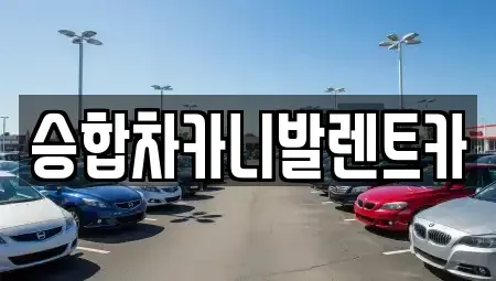 대전광역시 중구 사정동 렌트카 전문 승합차카니발렌트카