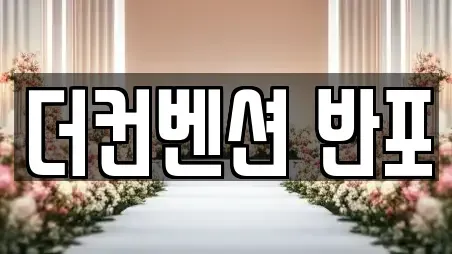 더컨벤션 반포