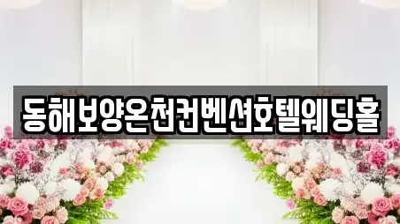 동해시 심곡동 웨딩컨설팅 모임 장소 1