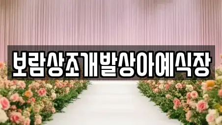 보람상조개발상아예식장