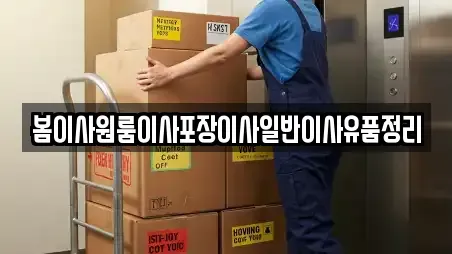 봄이사원룸이사포장이사일반이사유품정리