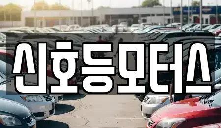 부산 남구 용호동 중고차매매 전문 신호등모터스