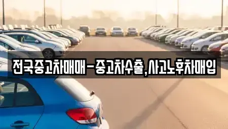 부산 남구 용호동 중고차매입 전문 전국중고차매매-중고차수출,사고노후차매입