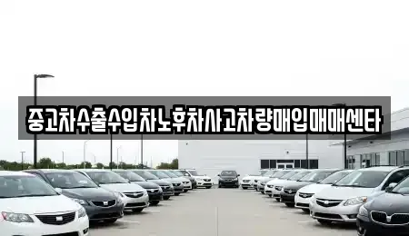 부산 남구 용호동 중고차매입 전문 중고차수출수입차노후차사고차량매입매매센타
