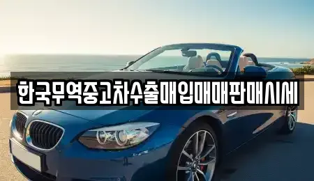부산 남구 용호동 중고차매입 전문 한국무역중고차수출매입매매판매시세