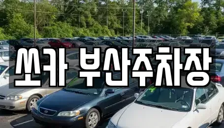 부산 북구 덕천동 렌트카 전문 쏘카 부산주차장