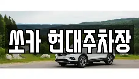 부산 북구 덕천동 렌트카 전문 쏘카 현대주차장